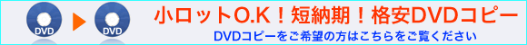 DVD���ԡ���DVD�Υ��ӥ󥰤Ϥ�����