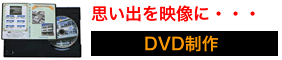 DVD����Τ�����